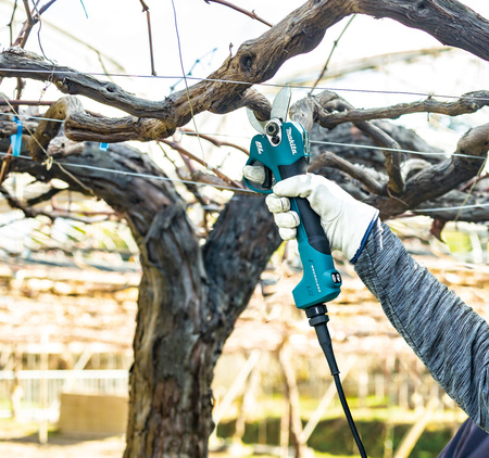 Makita Akumulatorowy sekator ogrodniczy DUP180T001 18V LXT, 1 x akumulator 18V 5,0 Ah BL1850B, ładowarka DC18WC