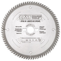 281.096.12M  D=300 F=30 Z=96 K=3,2/2,2